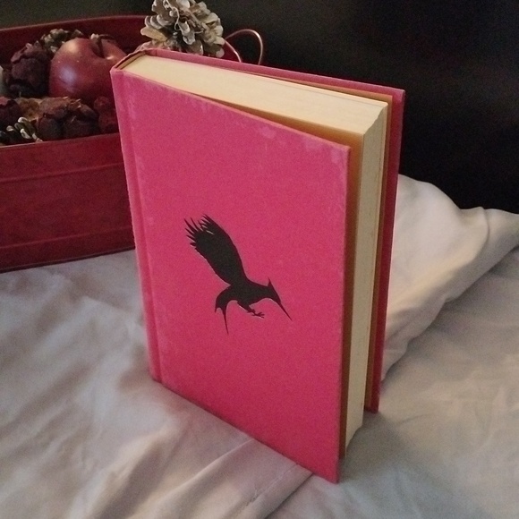 ⚜️ Catching Fire & Mockingjay - Picture 4 of 12